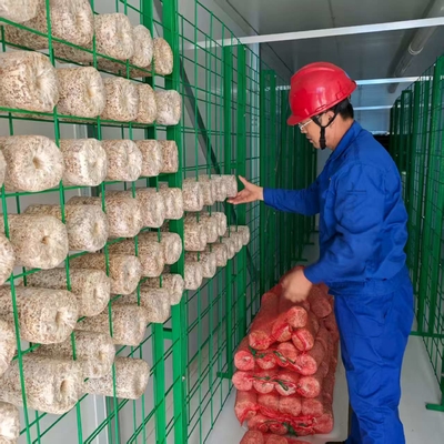 精密な環境制御 菌類栽培容器