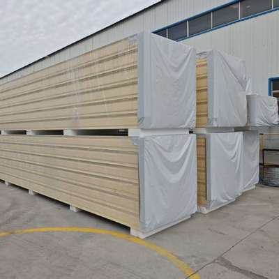 High quality cold storage panels for aquatic freezing warehouses